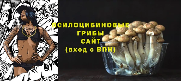 марки lsd Пересвет